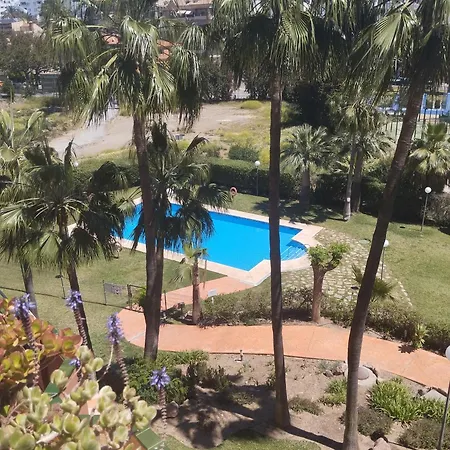 Palm